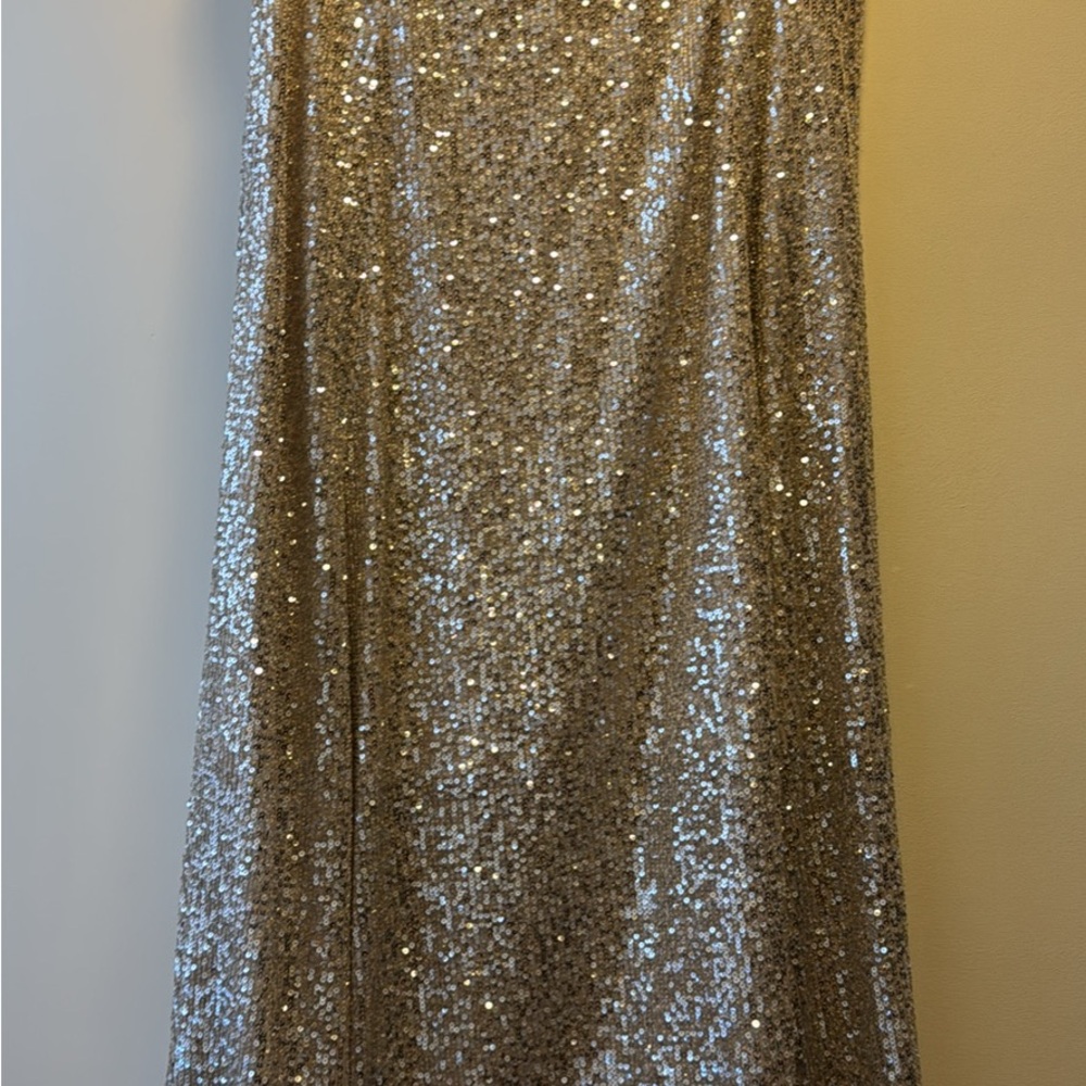 H&M Gold Sequin Maxi Skirt